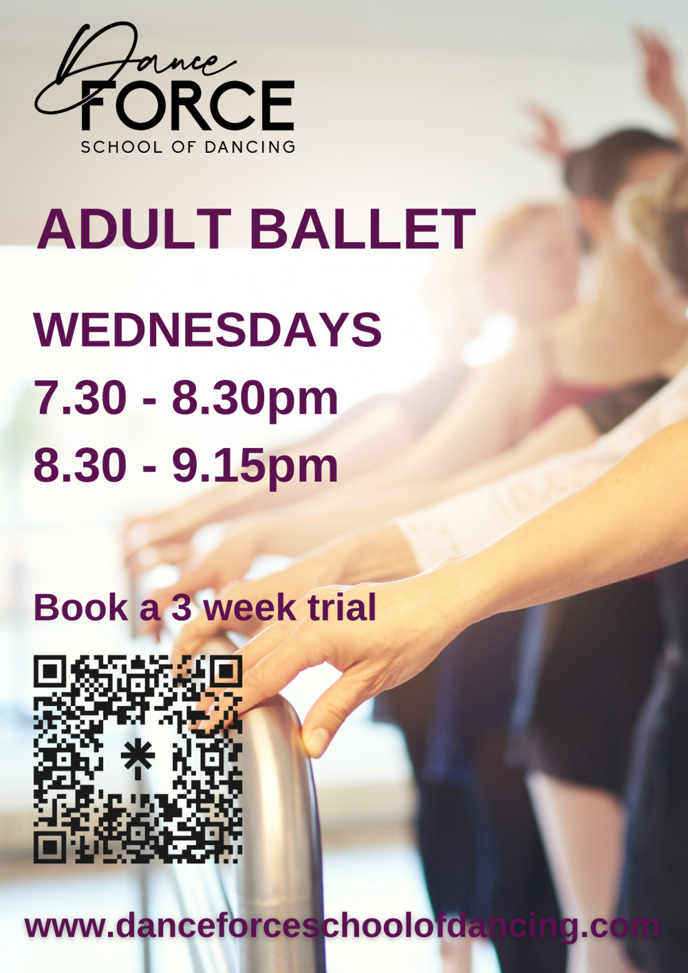 Adult Ballet class