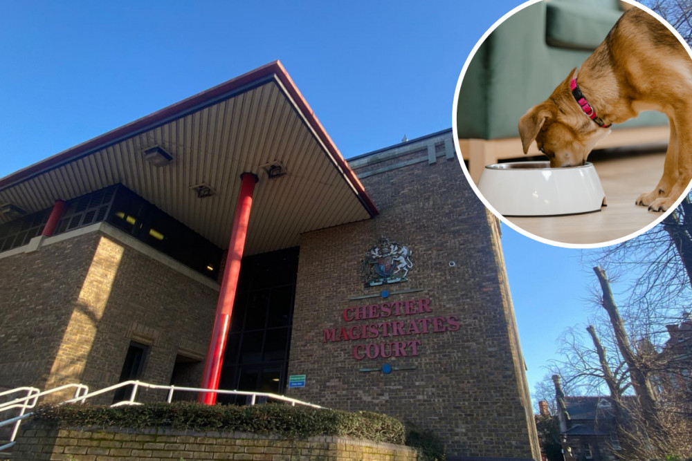 Stuart Preston was sentenced at Chester Magistrates Court for stealing dog food (Credit: Nub News/Canva)