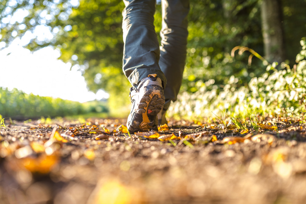 Feel Good in the Forest in the Sence Valley in Ibstock, near Coalville. Photo: Gajus | Dreamstime.com