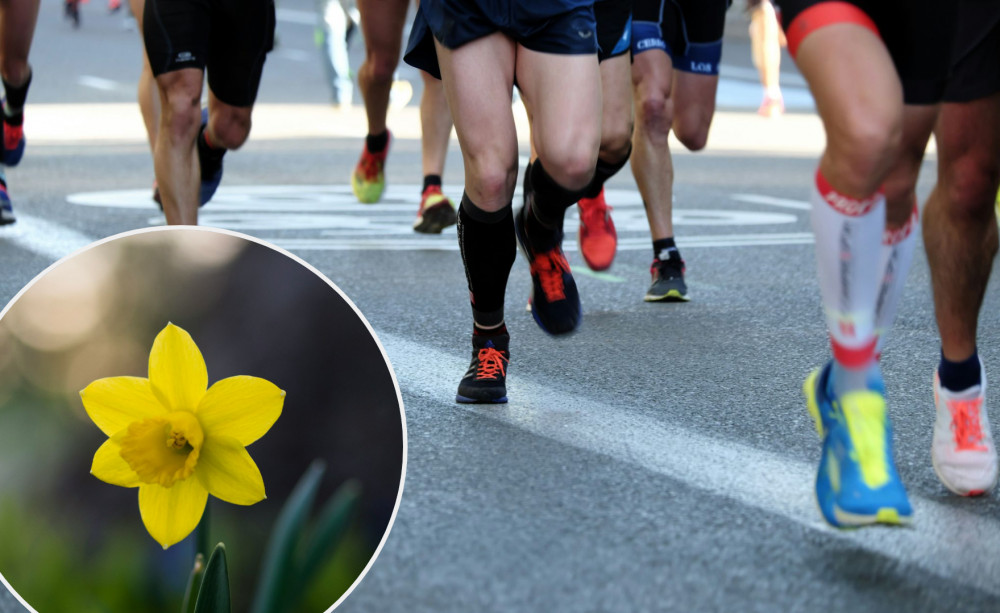 Here are the details for Stockport's 10k daffodil race, including road closures, start times, and more (Images via Unsplash - main: Miguel A. Amutio / inset: Aaron Burden)