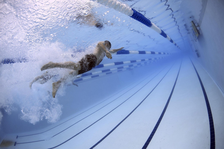 Rotary Swimathon (Credit: Pixabay)