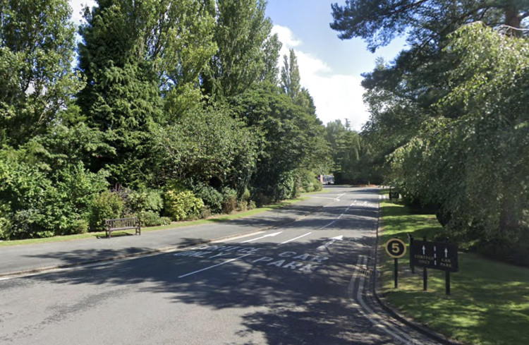 An area of Carmountside Cemetery could become a garden of remembrance for pets (Google).
