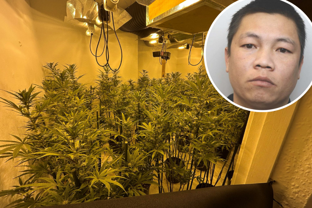 The operator of a cannabis farm in Macclesfield has been jailed (Credit: Cheshire Police)