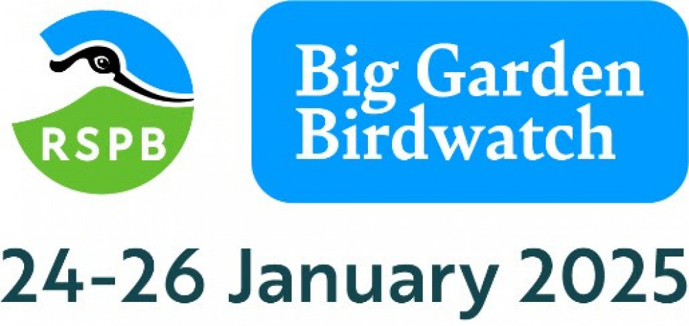 cross the UK, over 600,000 people took part in Big Garden Birdwatch 2024 cross the UK, over 600,000 people took part in Big Garden Birdwatch 2024