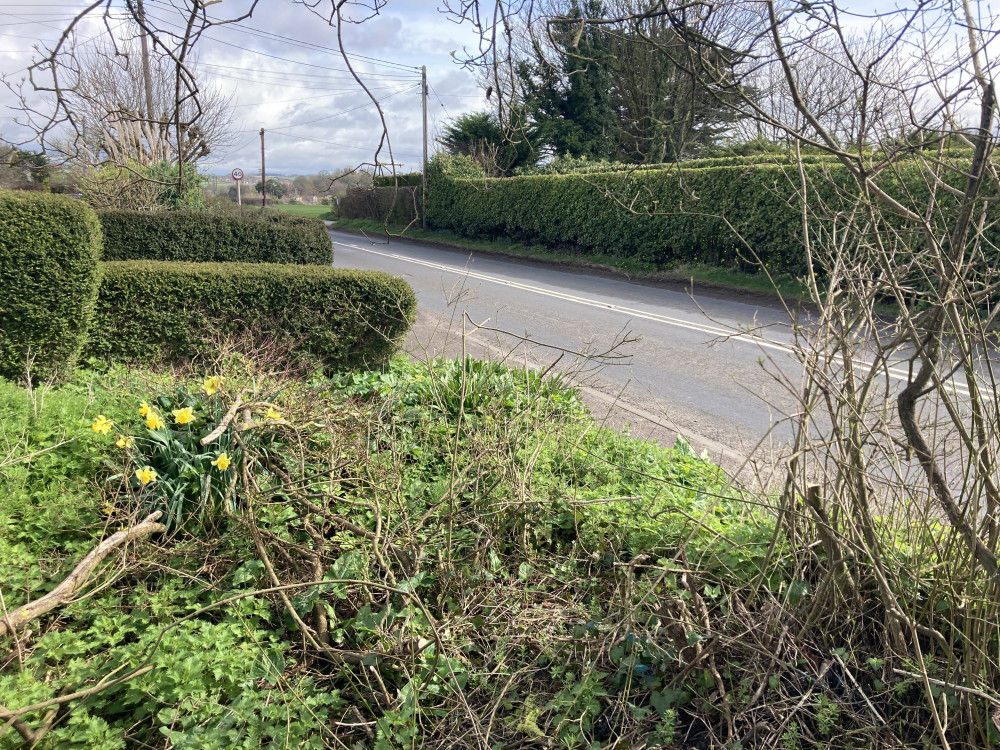 The A378, Seen From The Eastern End Of The Proposed New Cycle Route In Curry Rivel (image by Daniel Mumby)