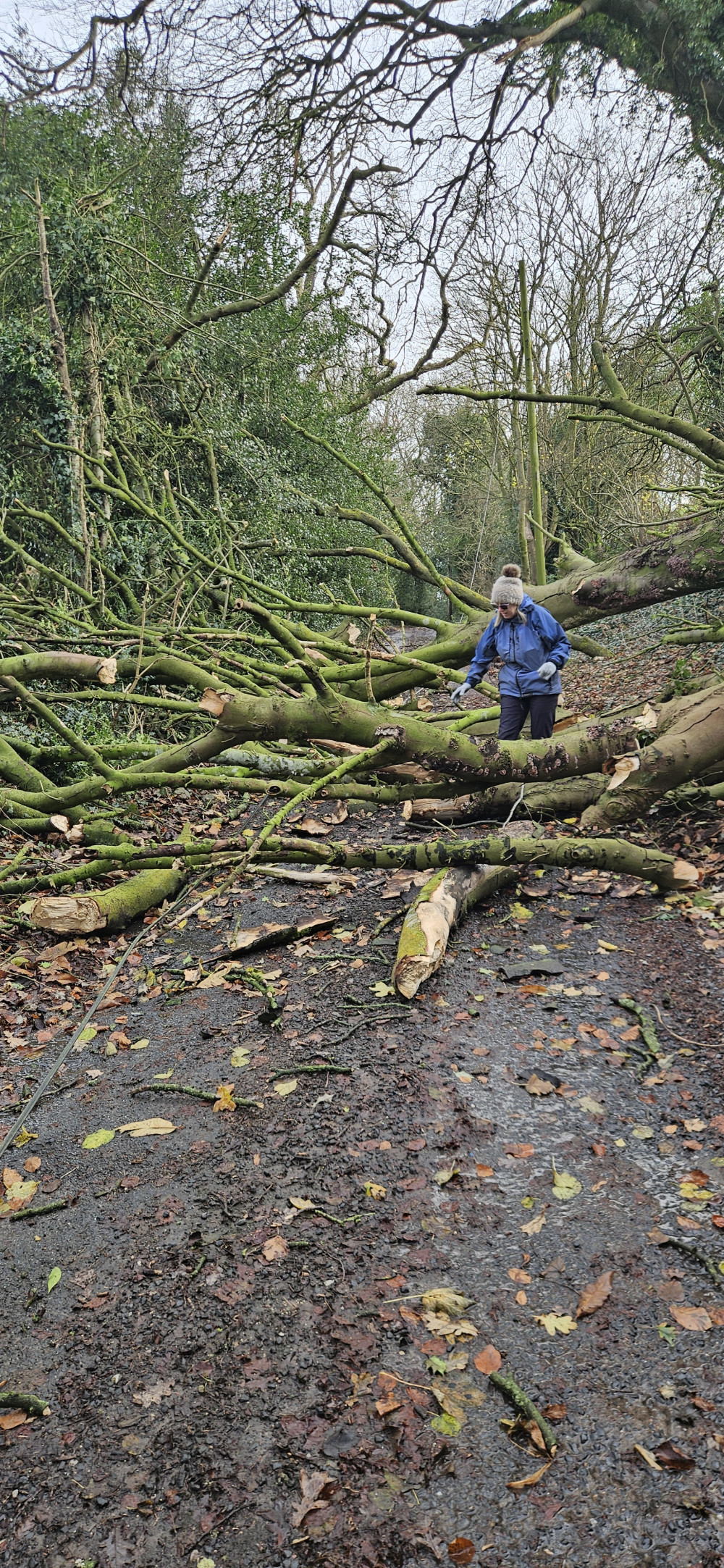 The Met Office has put a yellow weather warning in place for Sandbach following strong winds from Storm Éowyn (Image - Nub News))