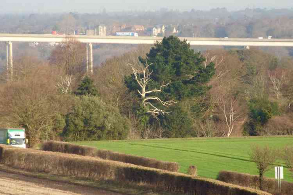 The rich soil of the Shotley peninsula good for gardeners