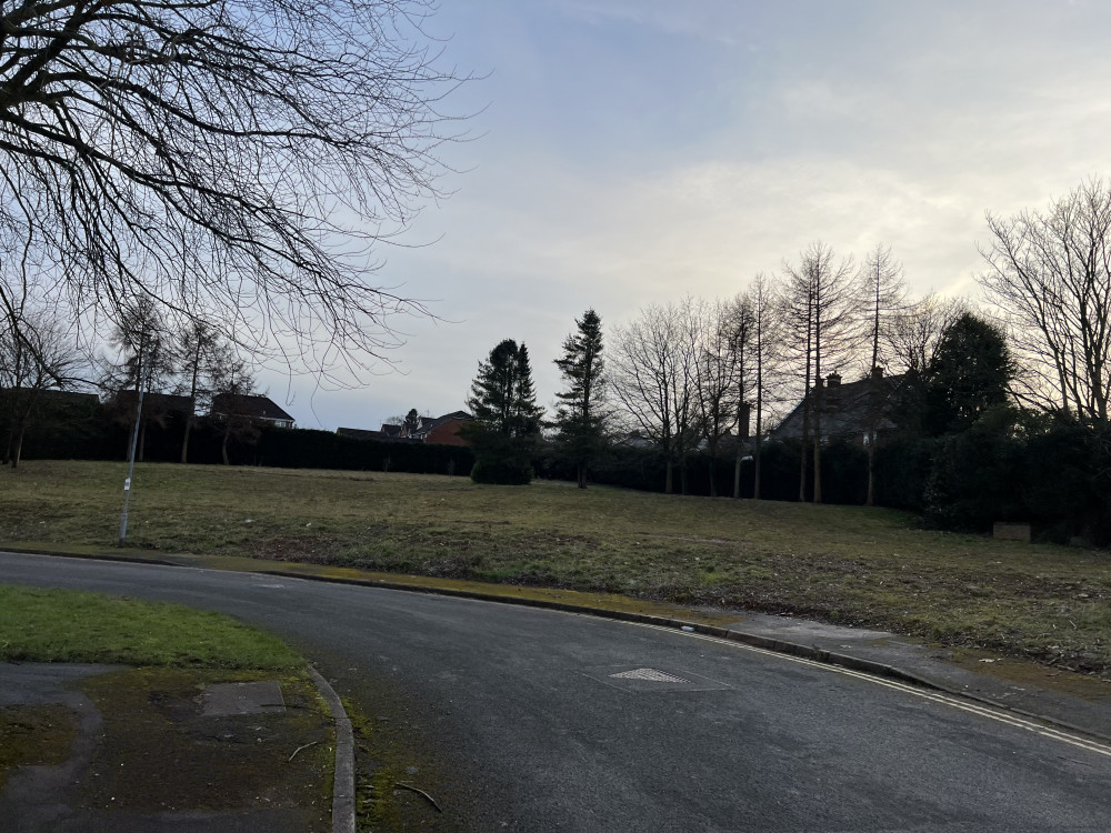 The council plans to build new affordable flats on the former Doris Robinson Court, which has now been demolished (Nub News).