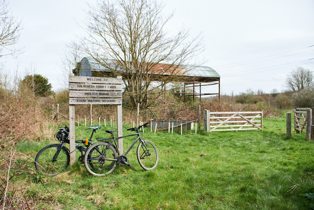 Kingston is working with groups Citizen Zoo and The Community Brain to rewild the 104-acre nature reserve, which is the biggest in Kingston and is made up of seven big fields (Credit: Nub News)