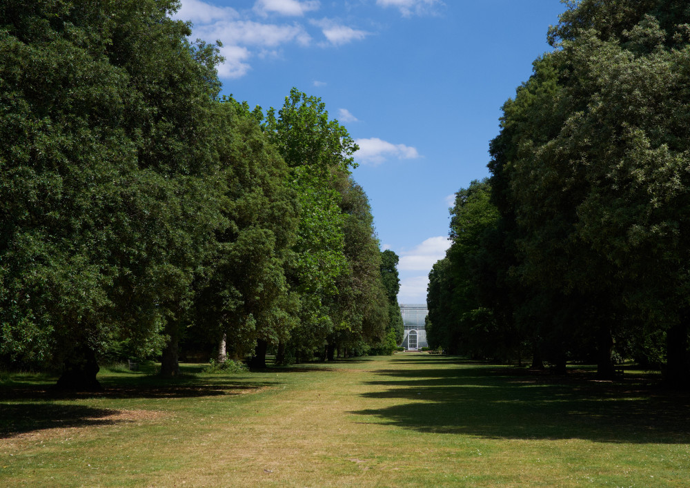 Kew Gardens launches 'Grow Your Future,' a free digital careers hub (credit: Nub News).