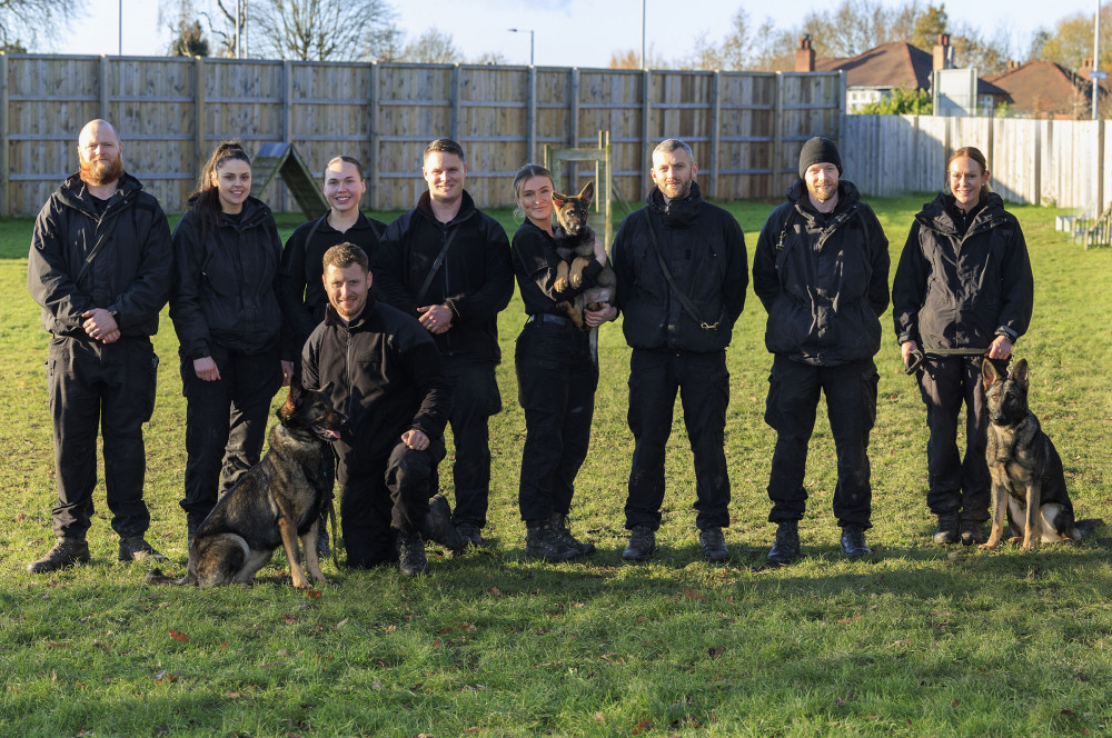 Eight new police dogs have joined Greater Manchester Police. All aged under two, the dogs are now deployable across the region (Image - GMP)