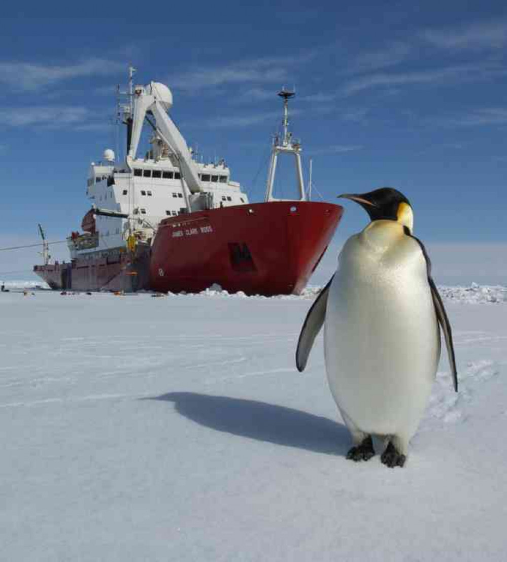 RRS JCR in Antarctica meeting the locals