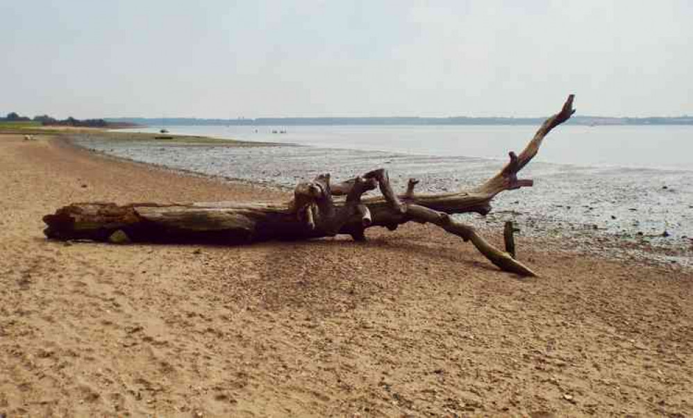 Holbrook to Harkstead beach becoming too popular