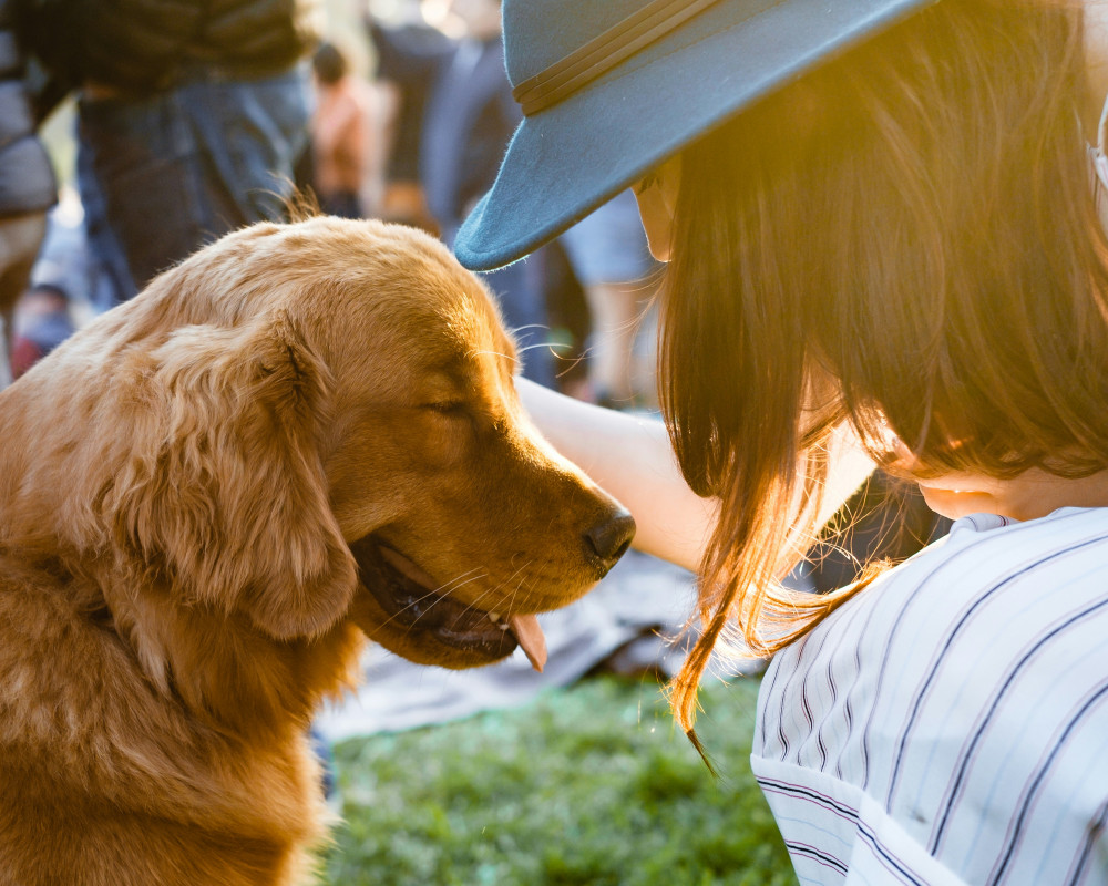 The Big Bark 2025 returns on Sunday, 13 April, offering canine activities, expert talks, and shopping at Bath & West Showground,