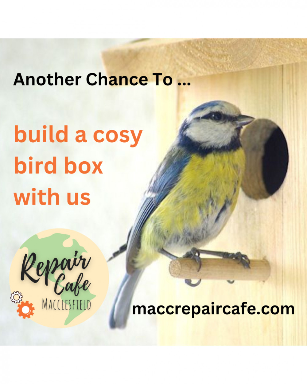 Build a cosy bird box with Macclesfield Repair Cafe