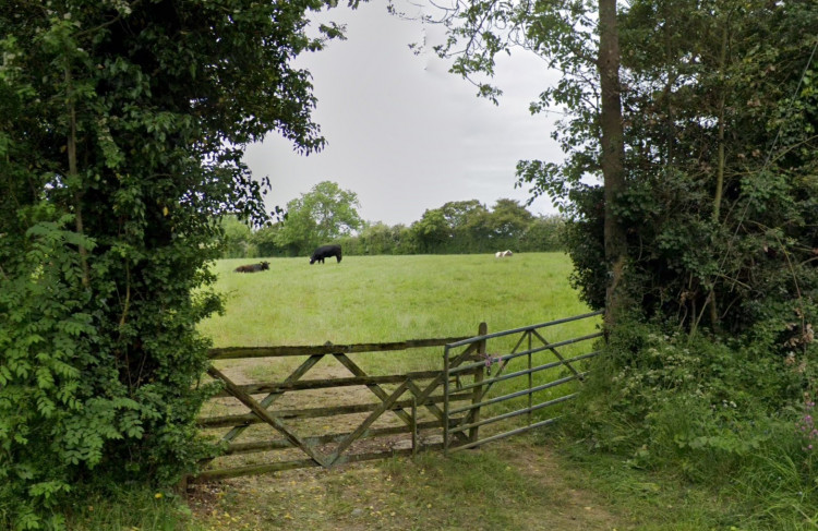 Heron Bank Farm where the new homes will be built (image via Google Maps)