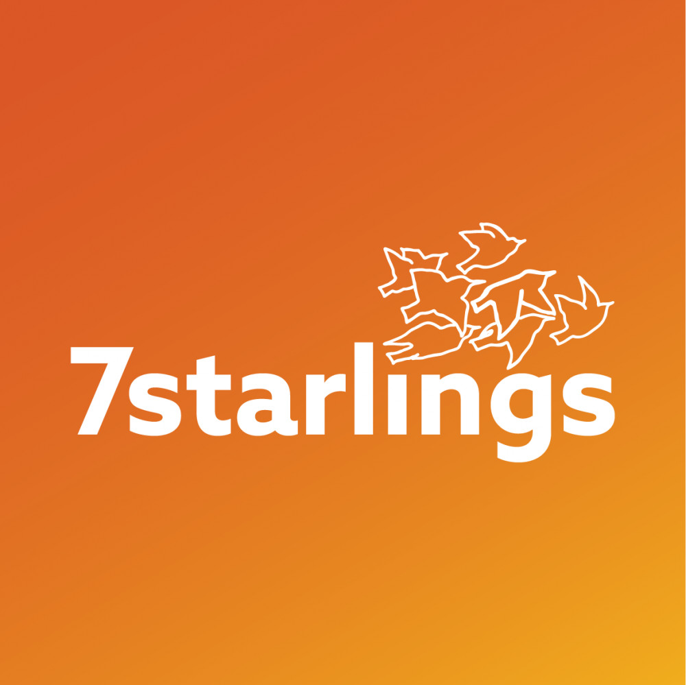 7 Starlings CIC is a community-led organisation working to keep Shepton Mallet Library open