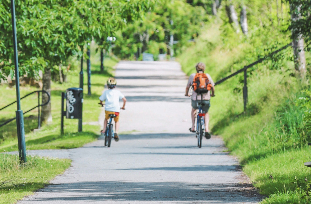 Rutland County Council tells Bikeability instructors to get on their bikes (Photo: Yiwen via Unsplash)