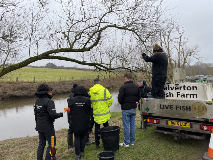 4,000 fish, including chub dace and roach, have been released into the River Weaver in Nantwich at Mill Island Weir and downstream in The Willows area (Environment Agency).