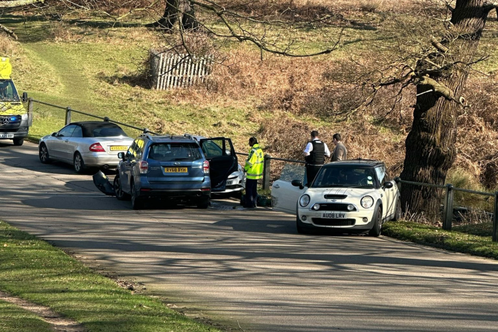 Emergency services attending the scene of the crash in Richmond Park (credit: @RichmondPkCycle/X). 