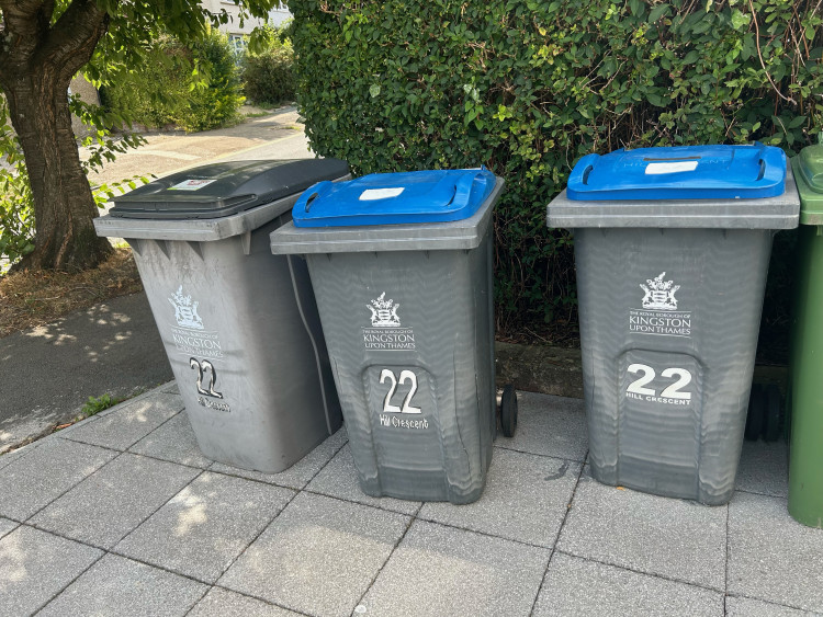 Kingston is one of the most expensive boroughs in London for bin collections )Credit: Tilly O'Brien)