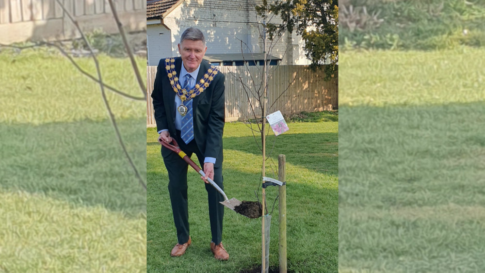 Councillor Kevin Lagan, Council Chairman, plants the memorial tree (Credit: Maldon District Council)