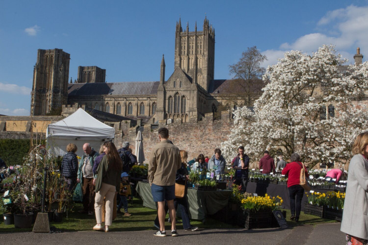 The Rare Plant Fair returns to The Bishop’s Palace, Wells, on Sunday, 16 March 2025