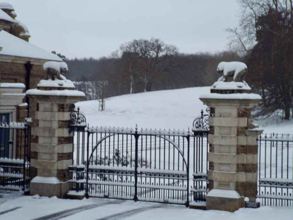 Snow on monkeys' back  (Picture credit - Zoe Barnes)