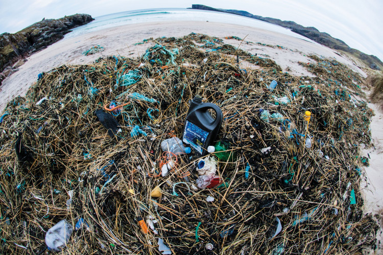 A volunteer from Barnes, contributed to research on UK plastic pollution, published in Marine Pollution Bulletin (credit: 