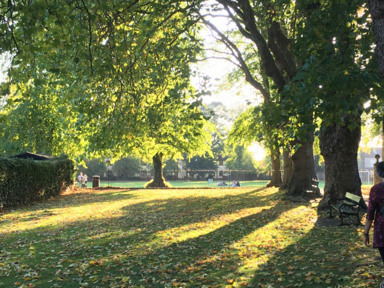 Wells Recreation Ground