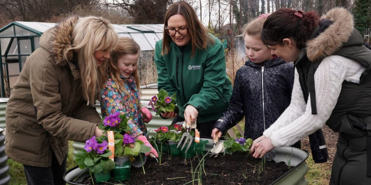 Dobbies Shepton Mallet seeks local groups for its Community Gardens initiative, offering support to enhance green spaces. 