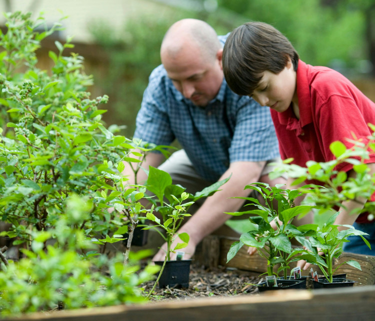 Gardening in Stockport leads to back pain. Davies Osteopaths offer holistic treatments and exercises for recovery and prevention (Image - CDC / Unsplash)