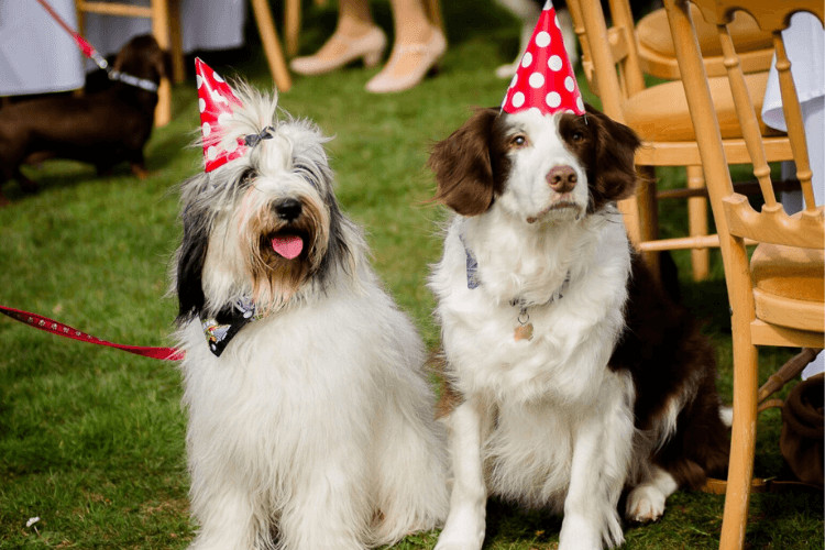 It’s a packed line-up of local events, egg hunts and activities designed to keep the kids happy and your wallet (mostly) intact.