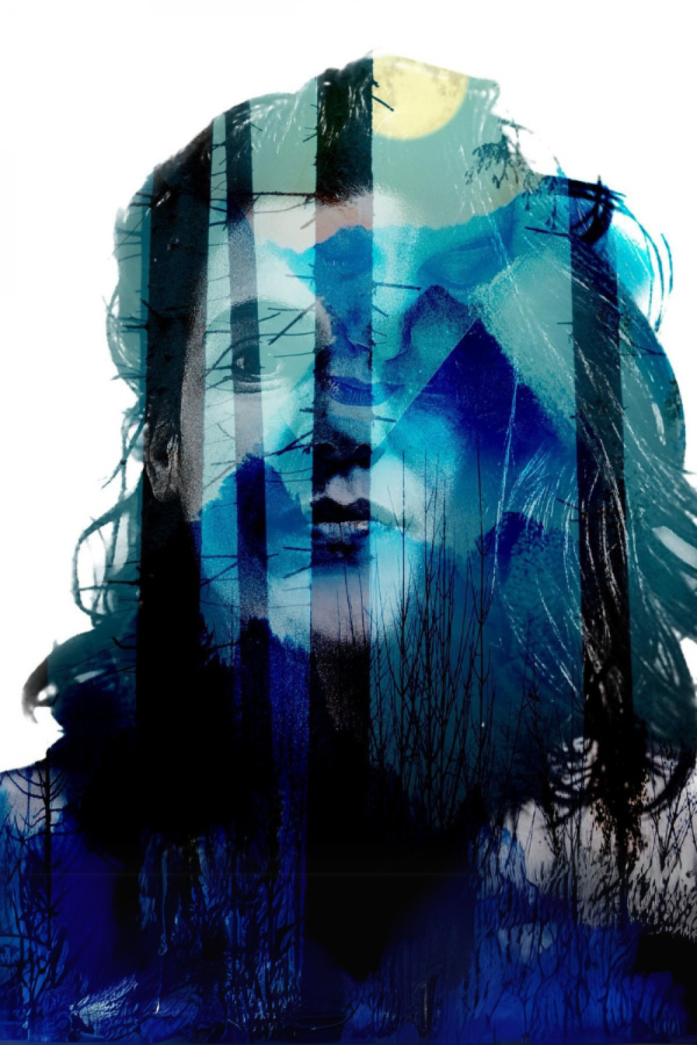 DiStorSion DiStorSion