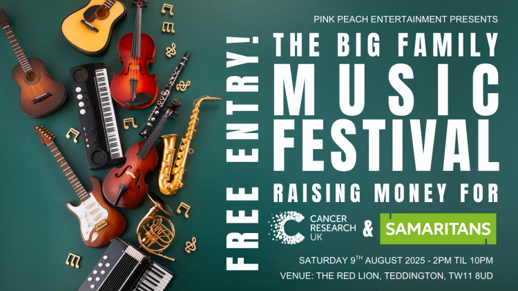 The Big Family Music Festival - Charity Fundraiser
