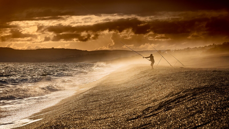 Record Entry for Photographic Exhibition