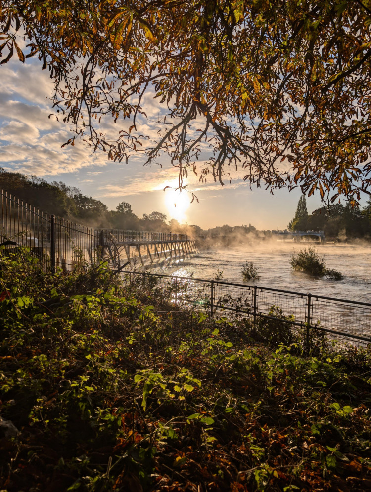Thames Water's Teddington Direct River Abstraction project  involves draining up to 75 million litres of water a day from the Thames some 350 metres upstream of Teddington Weir (Credit: Jade Wanden)