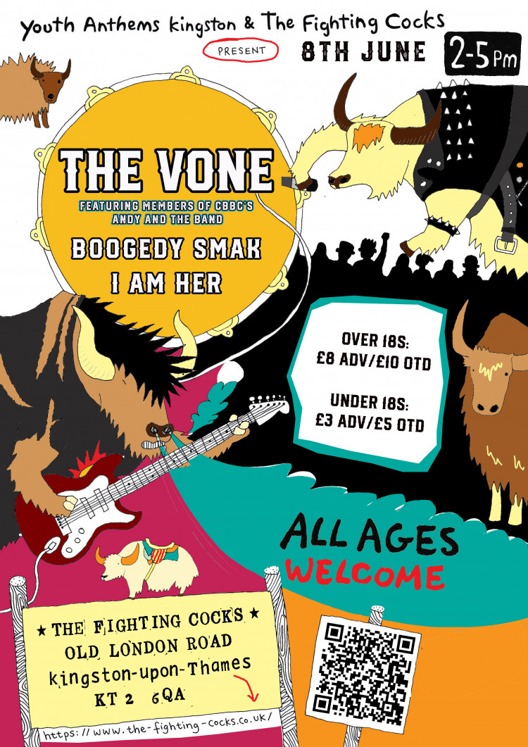 Youth Anthems Kingston (all ages matinee gig) Youth Anthems Kingston (all ages matinee gig)
