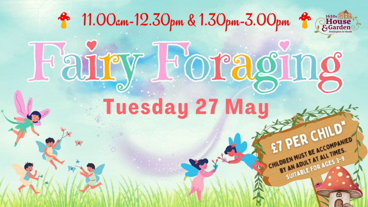 Fairy Foraging