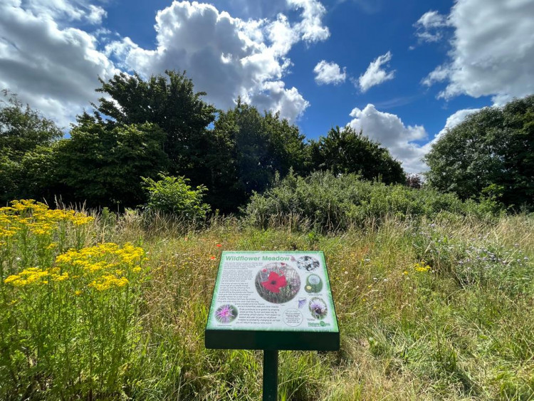 Residents can object to the council's plan to lease Pensford Field to Dose of Nature before 22 May (credit: Pensford Field Environmental Trust).