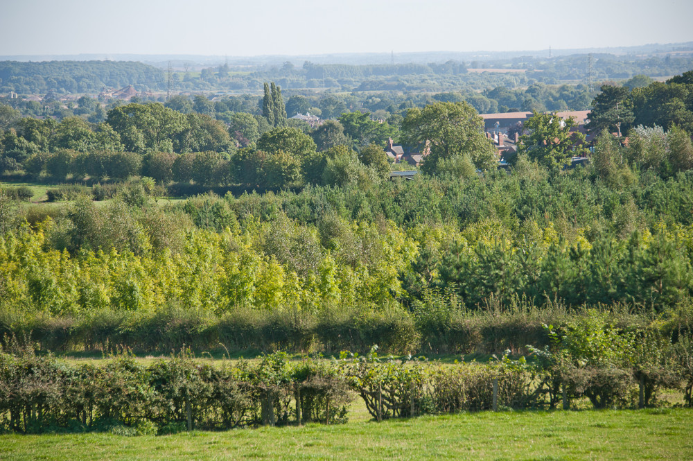 The walk is based around the Sence Valley. Photo: National Forest The walk is based around the Sence Valley. Photo: National Forest
