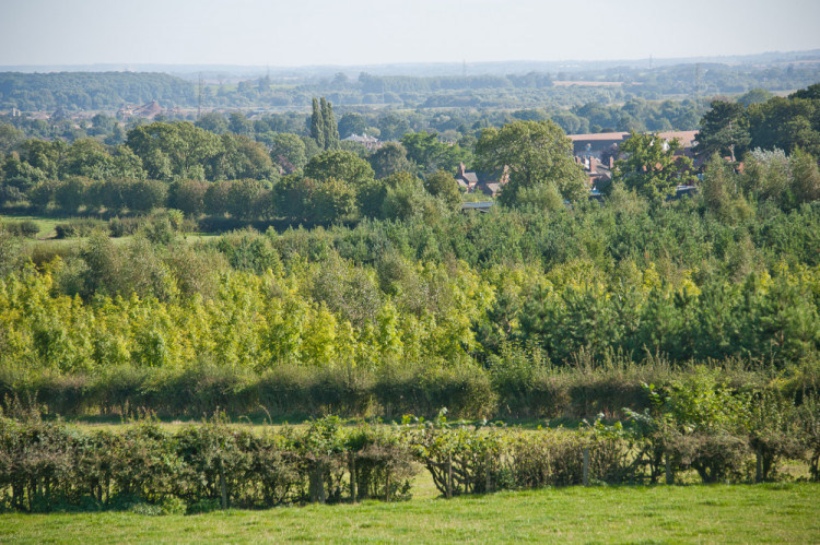 The walk is based around the Sence Valley. Photo: National Forest