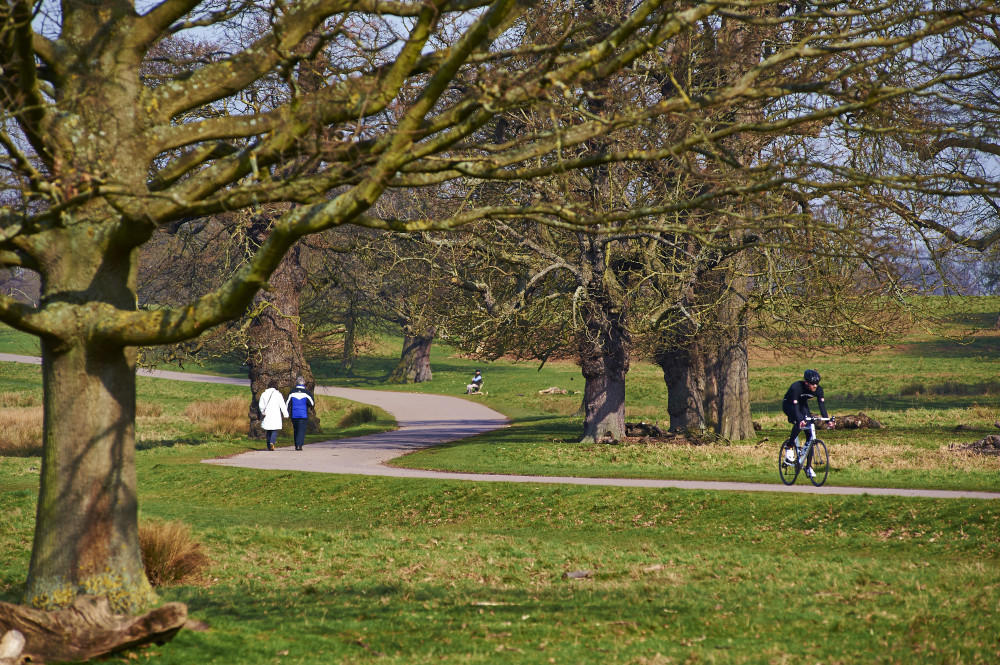 The Royal Parks is asking cyclists to slow down as new campaign launched (credit: Mark Laing/The Royal Parks). The Royal Parks is asking cyclists to slow down as new campaign launched (credit: Mark Laing/The Royal Parks).