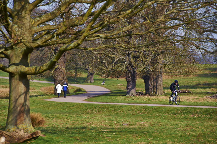 The Royal Parks is asking cyclists to slow down as new campaign launched (credit: Mark Laing/The Royal Parks).