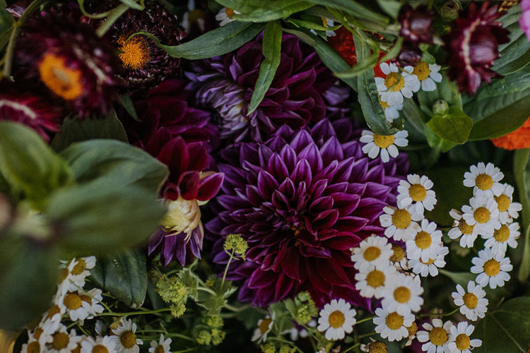 The Perfect Bunch - £49 pp The Perfect Bunch - £49 pp