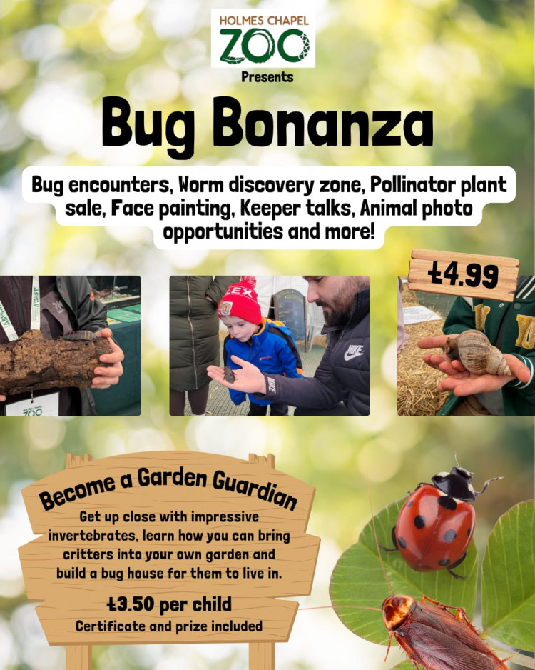 Bug Bonanza