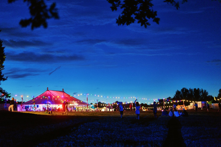 The 12th ALSO festival will be held at Park Farm, Compton Verney, on July 11-13 (image supplied)