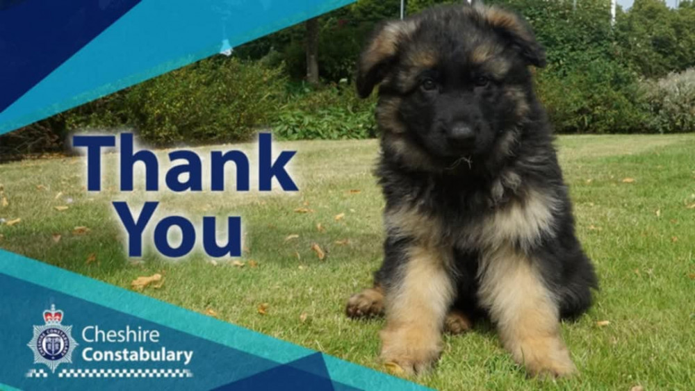 Cheshire Police has confirmed two teenage girls from Crewe who went missing on Wednesday 30 April have now been found "safe and well." Cheshire Police has confirmed two teenage girls from Crewe who went missing on Wednesday 30 April have now been found "safe and well."