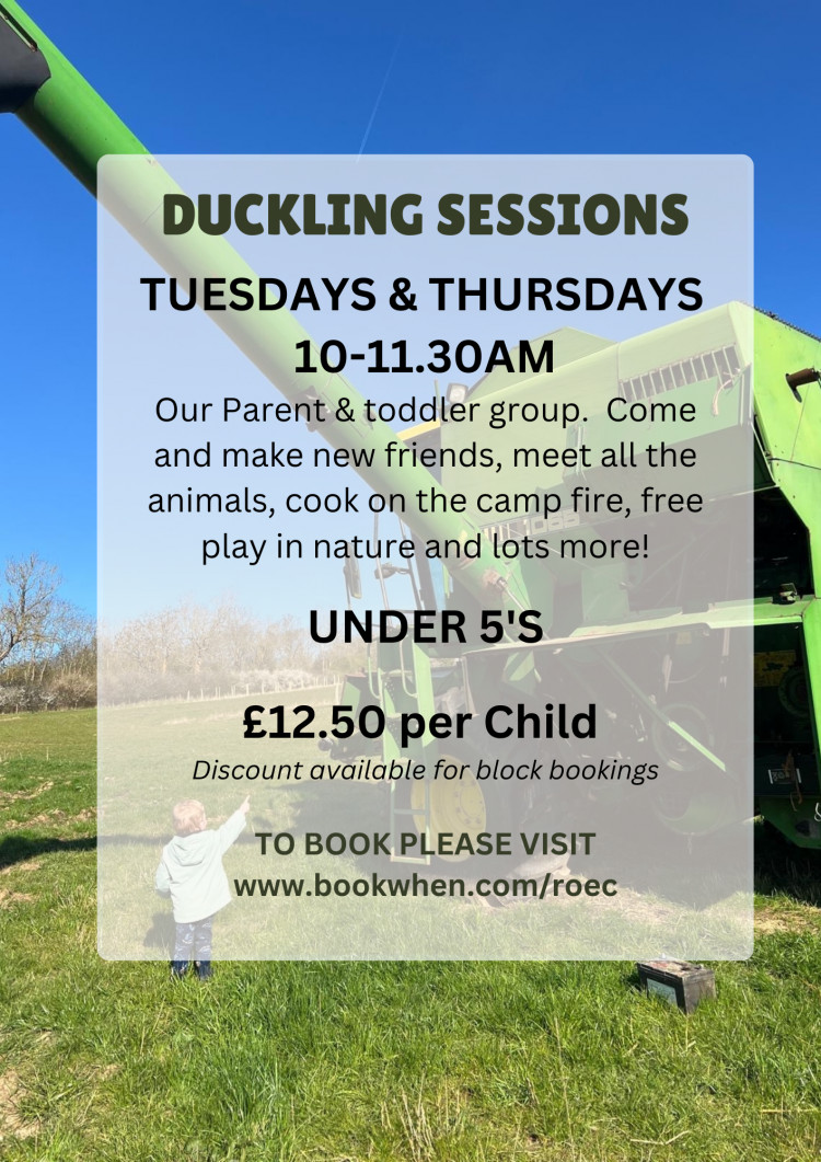 Ducklings Toddler Sessions 