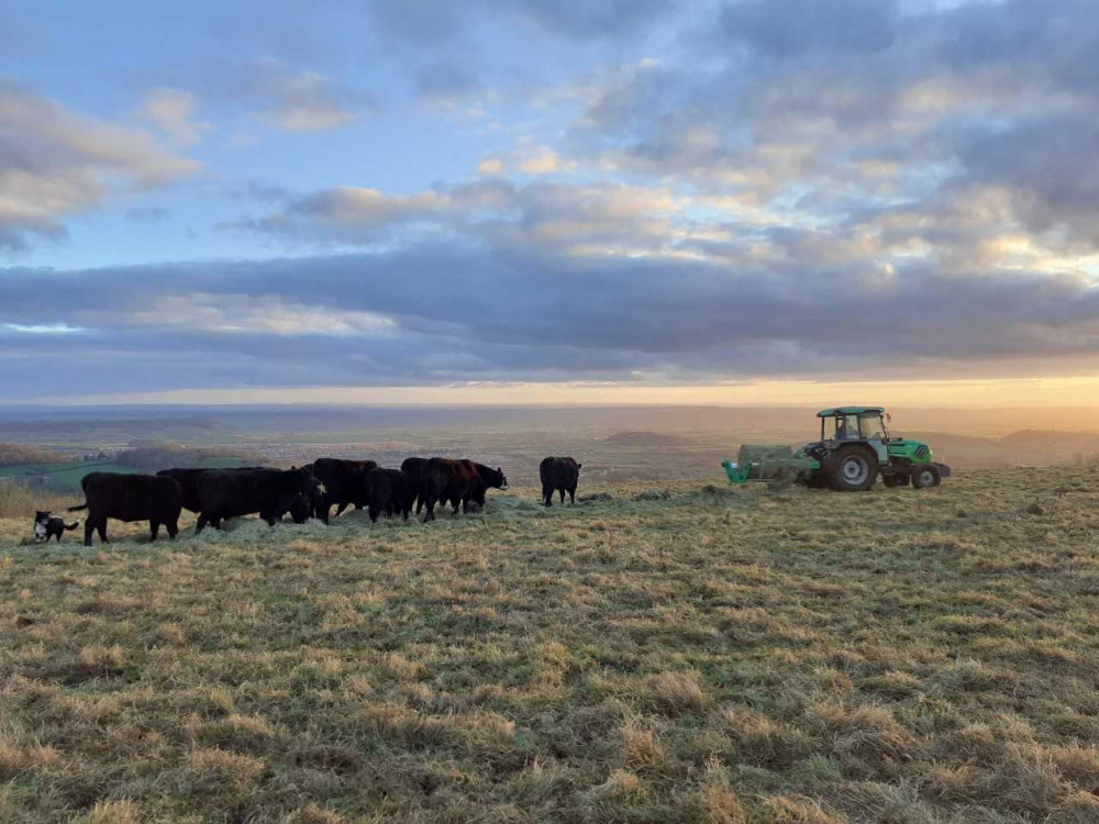 Grants are helping Mendip Hills farmers restore habitats, plant trees and improve the landscape for people and wildlife. Grants are helping Mendip Hills farmers restore habitats, plant trees and improve the landscape for people and wildlife.